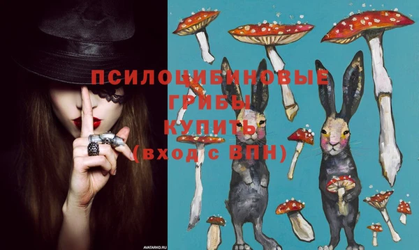 гидропоника Алексеевка