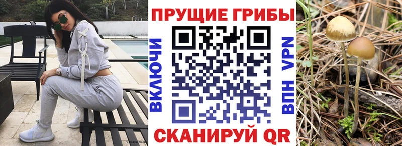 Псилоцибиновые грибы GOLDEN TEACHER  где купить наркоту  МЕГА   Полевской 